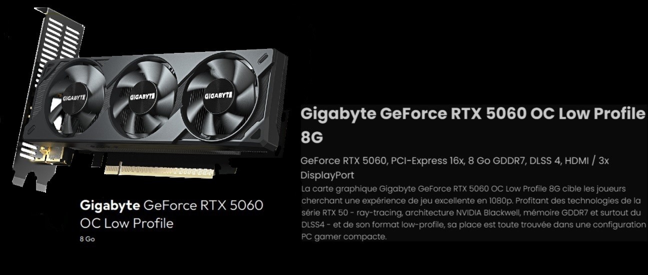 GeForce RTX 5060 Low Profile 8G